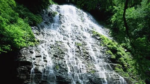 稳定性节能